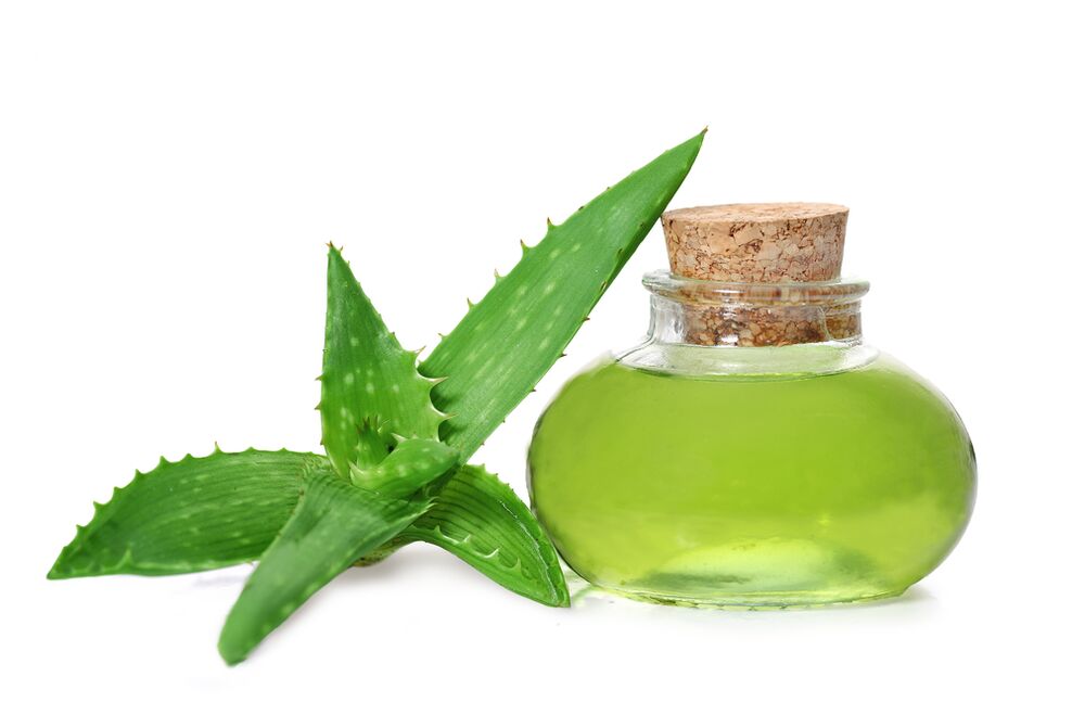Aloe Vera Extract-Cream Composition Proctonic